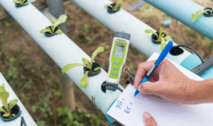 How can keeping a notebook or simple app record of plant changes teach you to garden better over time?
