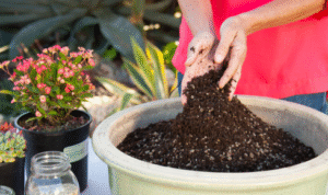 Why is it helpful to group plants by how fast their soil dries out rather than just by size?